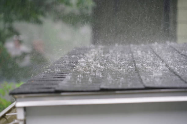 Best Metal Roofing Installation  in Belton, SC