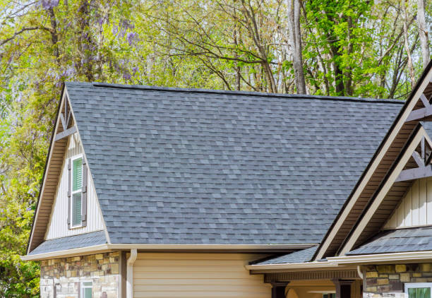 Best Gutter Replacement  in Belton, SC